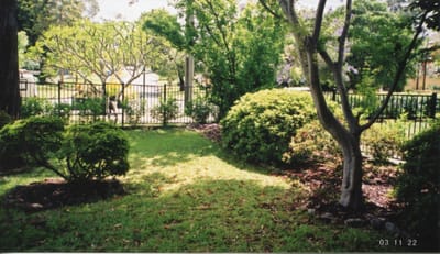 img045.jpg