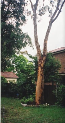 img053.jpg
