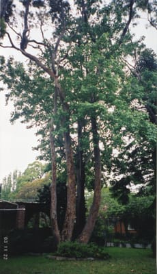 img055.jpg