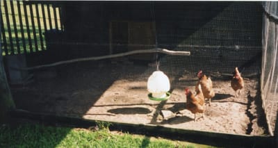 img084.jpg