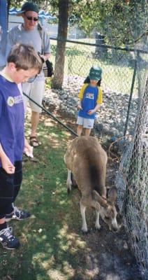 img096.jpg