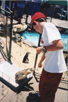 img104.jpg