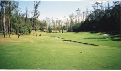 img116.jpg