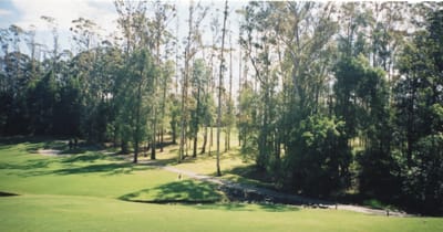img117.jpg