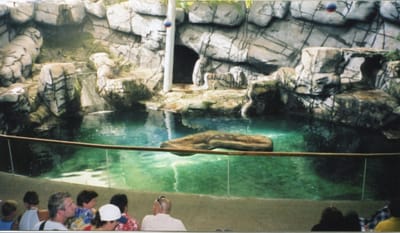 img167.jpg
