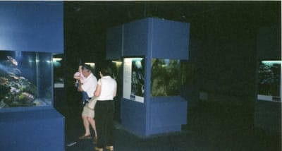 img168.jpg