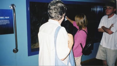 img169.jpg