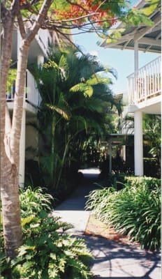 img182.jpg
