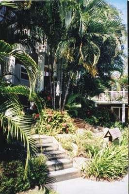 img184.jpg