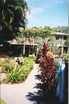 img185.jpg