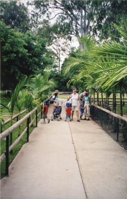 img201.jpg