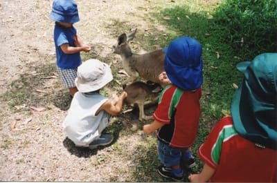 img215.jpg