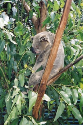 img219.jpg