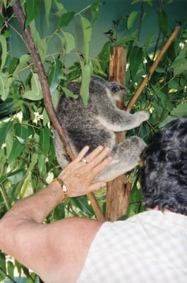 img221.jpg