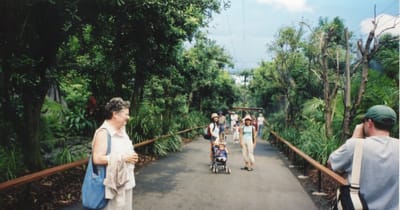 img223.jpg