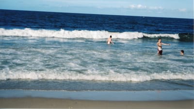 img230.jpg