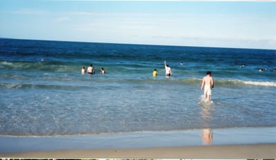 img231.jpg