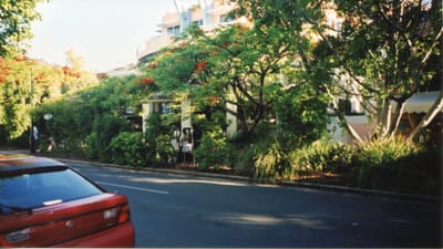 img236.jpg