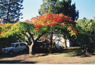 img240.jpg
