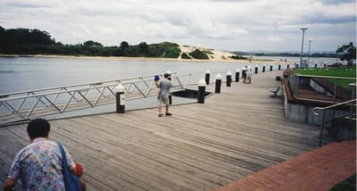 img268 Forster.jpg