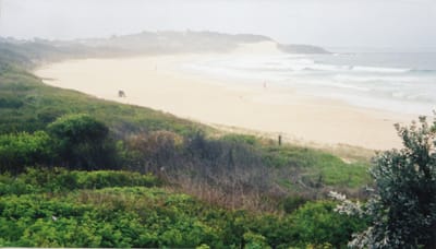 img275.jpg