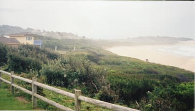 img276.jpg