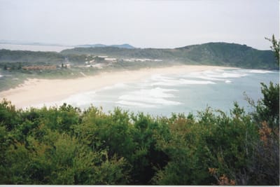 img281.jpg