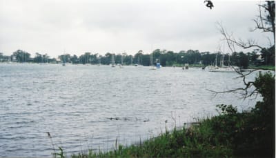 img294 Lake McQuarrie.jpg