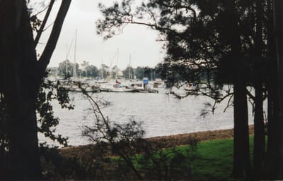 img296.jpg