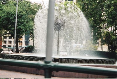 img297.jpg