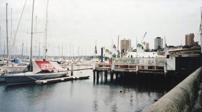 img299.jpg