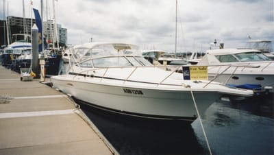 img309.jpg