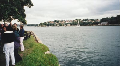 img329.jpg