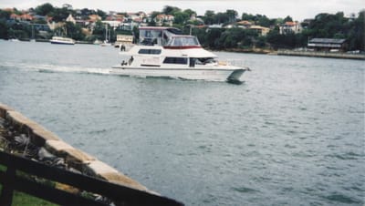 img335.jpg