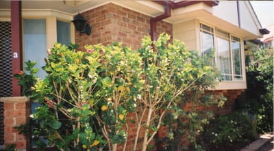 img361.jpg