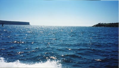 img372.jpg