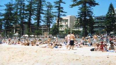 img386.jpg