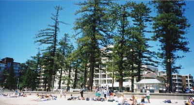 img388.jpg