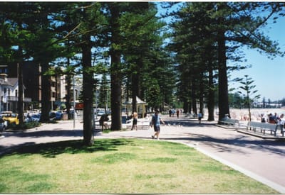 img390.jpg