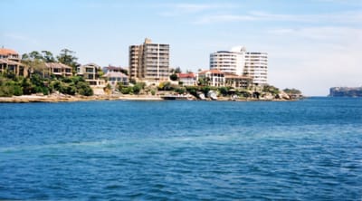 img401.jpg