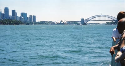 img409.jpg
