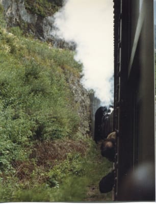 img003.jpg