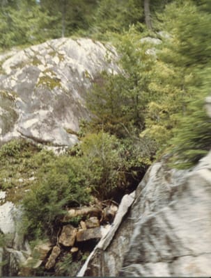 img005.jpg