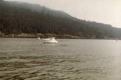 img009.jpg