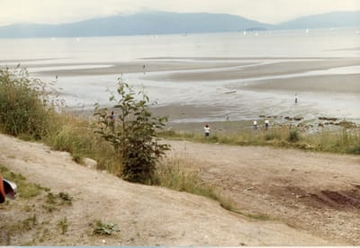 img026.jpg