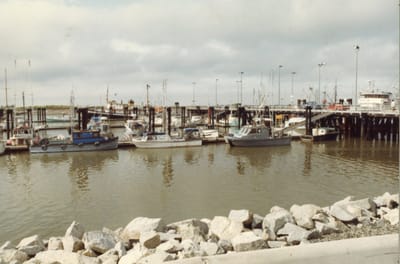 img034.jpg