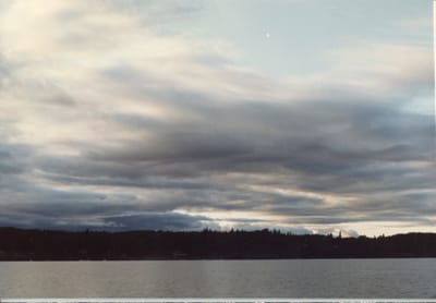 img101.jpg