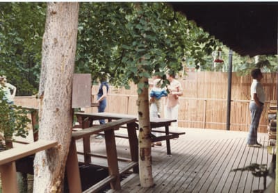 img113.jpg