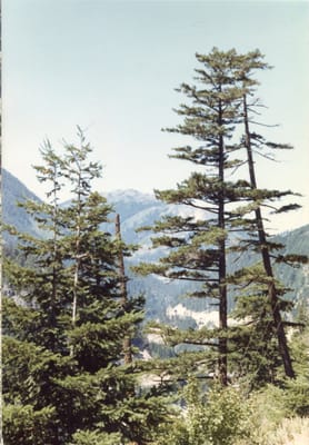 img122.jpg