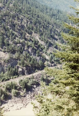 img125.jpg
